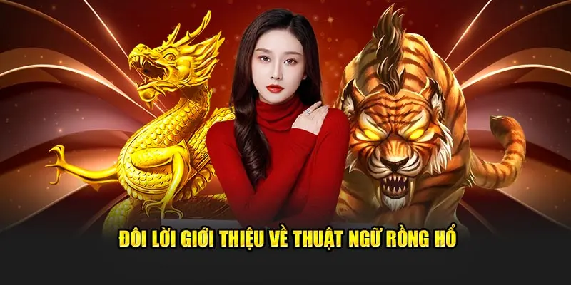 Đôi lời giới thiệu về thuật ngữ Rồng Hổ