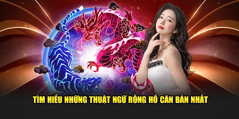 Tìm hiểu những thuật ngữ Rồng Hổ căn bản nhất