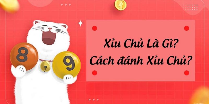 Những Lưu Ý Quan Trọng Khi Chơi Xỉu Chủ