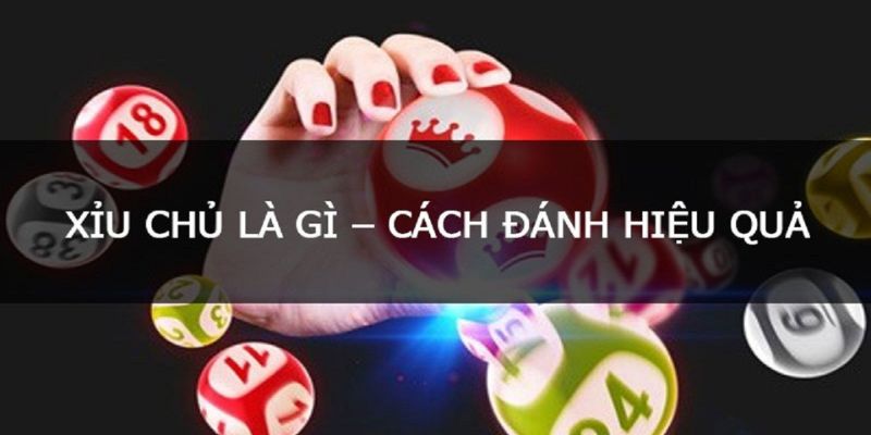 Cách Chơi Xỉu Chủ Là Gì