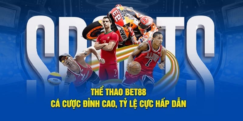 Những điểm nổi bật của khu thể thao 